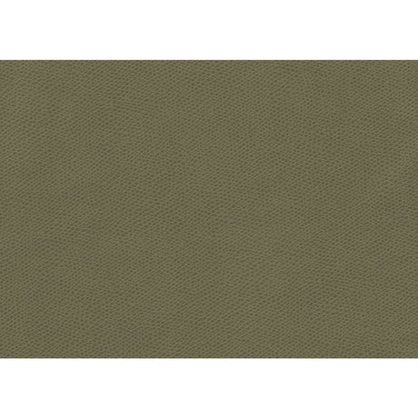 KRAVET CONTRACT OPHIDIAN.3.0 OPHIDIAN SAGE Fabric - Eade's Wallpaper