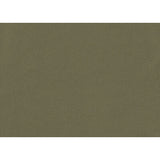 KRAVET CONTRACT OPHIDIAN.3.0 OPHIDIAN SAGE Fabric - Eade's Wallpaper