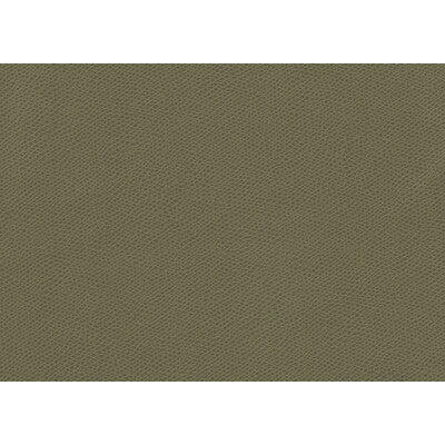 KRAVET CONTRACT OPHIDIAN.3.0 OPHIDIAN SAGE Fabric - Eade's Wallpaper