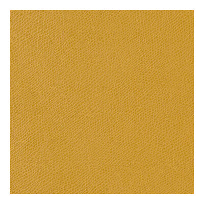 KRAVET CONTRACT OPHIDIAN.4.0 OPHIDIAN SUNFLOWER Fabric - Eade's Wallpaper