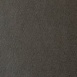 KRAVET CONTRACT OPHIDIAN.6.0 OPHIDIAN CHARCOAL Fabric - Eade's Wallpaper