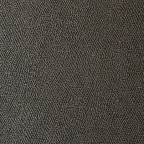 KRAVET CONTRACT OPHIDIAN.6.0 OPHIDIAN CHARCOAL Fabric - Eade's Wallpaper