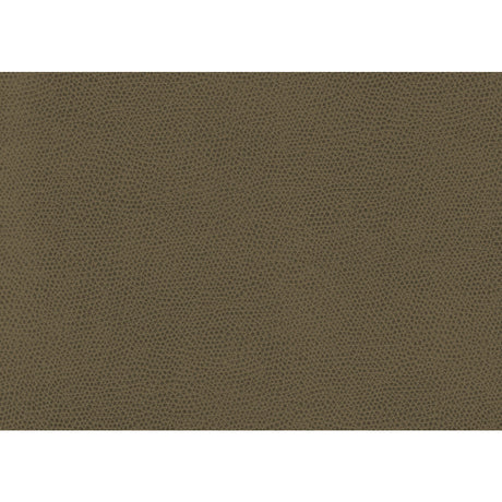 KRAVET CONTRACT OPHIDIAN.606.0 OPHIDIAN BARK Fabric - Eade's Wallpaper
