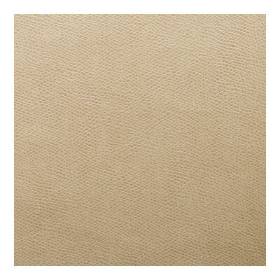 KRAVET CONTRACT OPHIDIAN.61.0 OPHIDIAN AU LAIT Fabric - Eade's Wallpaper