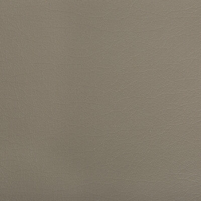 KRAVET CONTRACT OPTIMA.106.0 OPTIMA PORTABELLO Fabric - Eade's Wallpaper