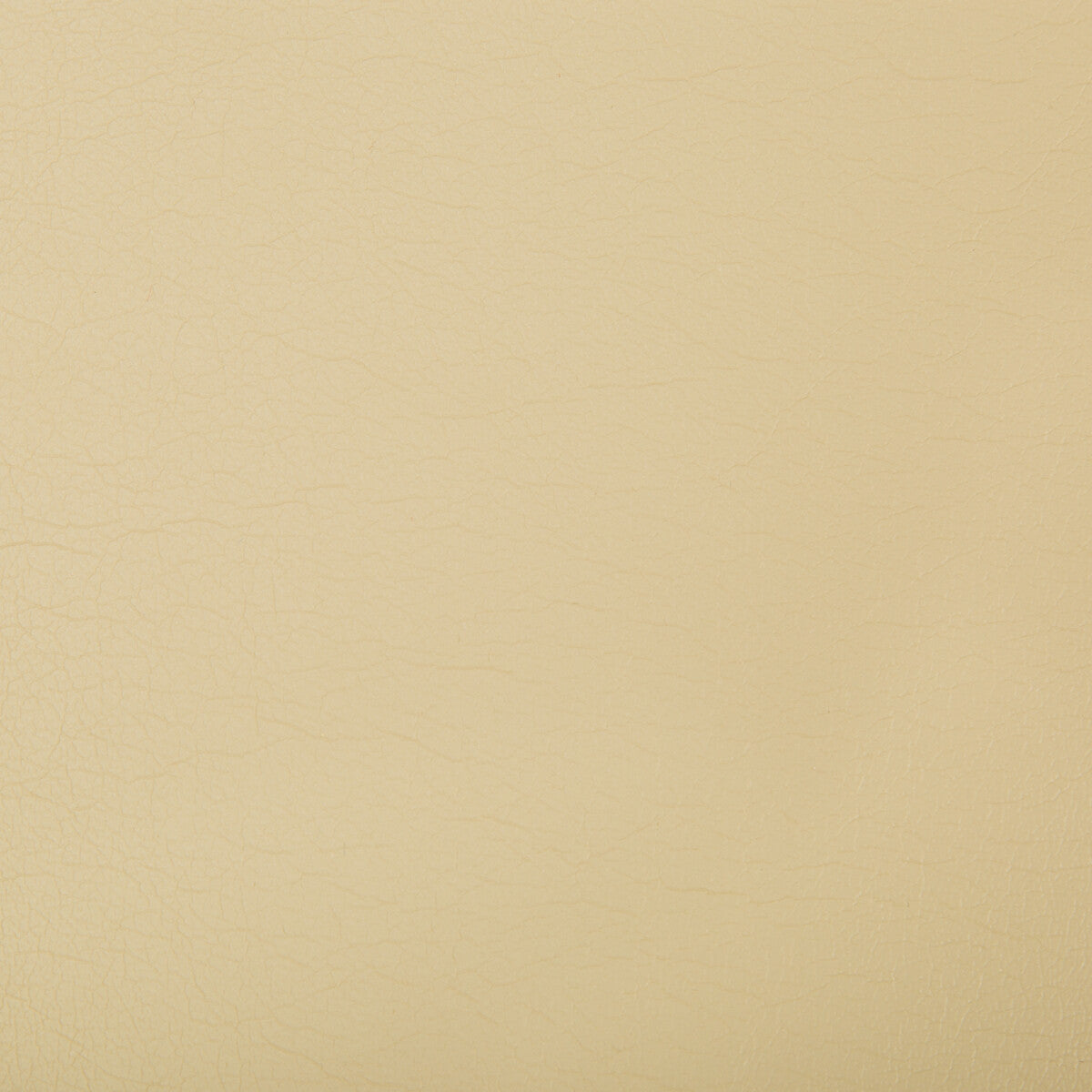 KRAVET CONTRACT OPTIMA.116.0 OPTIMA CASHEW Fabric - Eade's Wallpaper