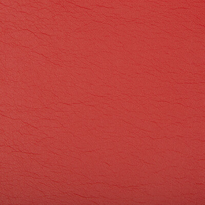 KRAVET CONTRACT OPTIMA.119.0 OPTIMA FIESTA Fabric - Eade's Wallpaper
