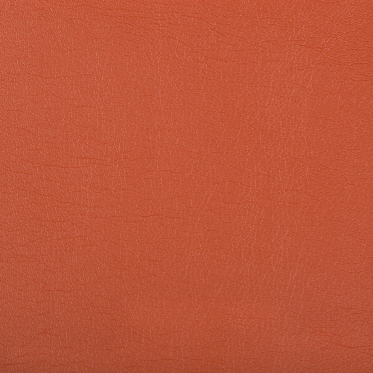KRAVET CONTRACT OPTIMA.12.0 OPTIMA NECTARINE Fabric - Eade's Wallpaper