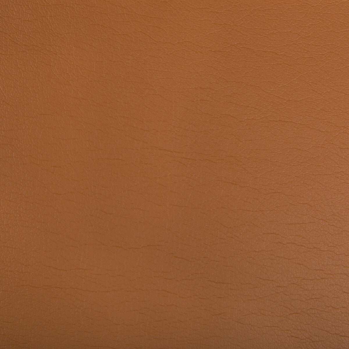 KRAVET CONTRACT OPTIMA.124.0 OPTIMA CLAY Fabric - Eade's Wallpaper