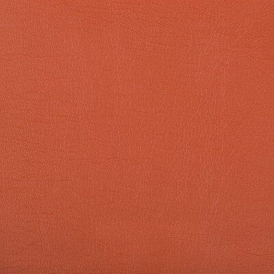 KRAVET CONTRACT OPTIMA.12.0 OPTIMA NECTARINE Fabric - Eade's Wallpaper