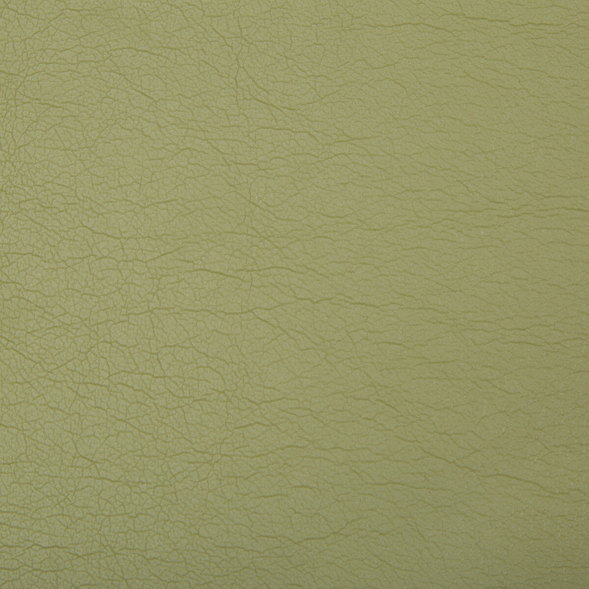 KRAVET CONTRACT OPTIMA.130.0 OPTIMA GREEN TEA Fabric - Eade's Wallpaper