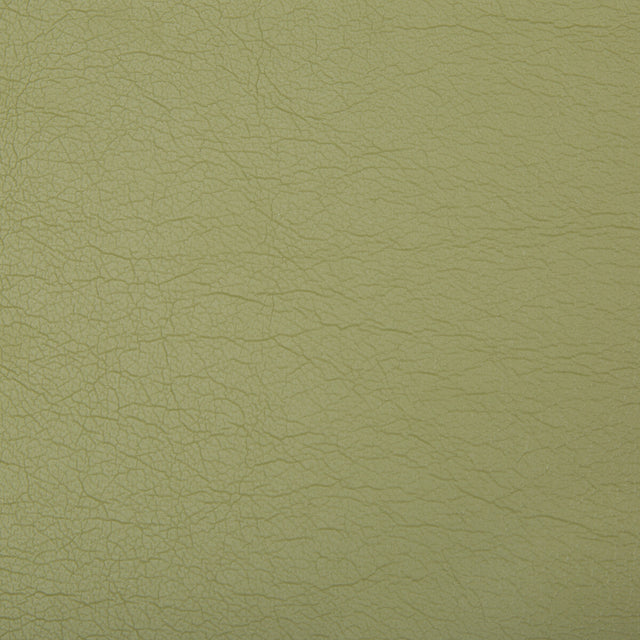 KRAVET CONTRACT OPTIMA.130.0 OPTIMA GREEN TEA Fabric - Eade's Wallpaper