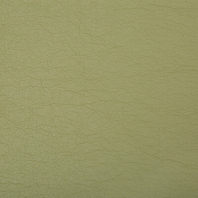 KRAVET CONTRACT OPTIMA.130.0 OPTIMA GREEN TEA Fabric - Eade's Wallpaper