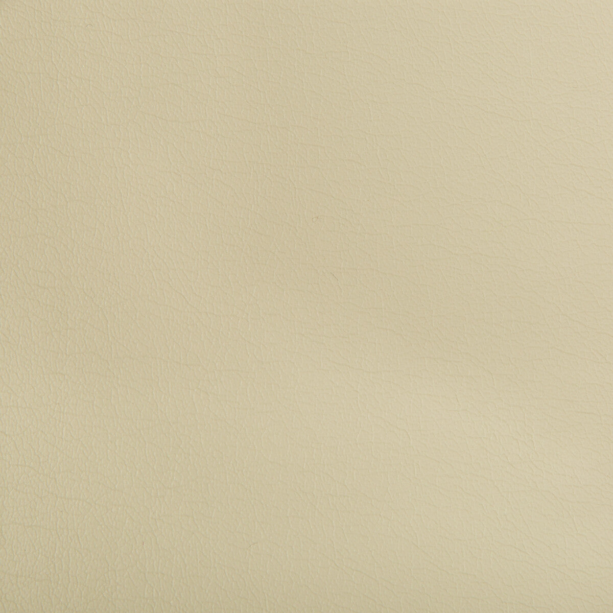 KRAVET CONTRACT OPTIMA.1611.0 OPTIMA ABALONE Fabric - Eade's Wallpaper