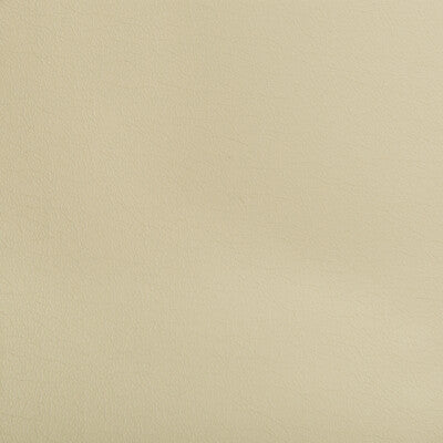 KRAVET CONTRACT OPTIMA.1611.0 OPTIMA ABALONE Fabric - Eade's Wallpaper