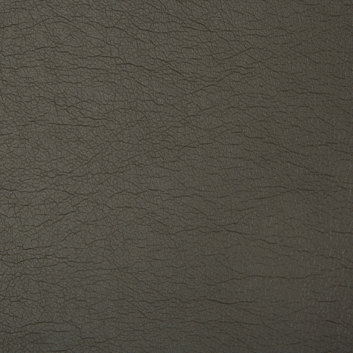 KRAVET CONTRACT OPTIMA.21.0 OPTIMA BRONCO Fabric - Eade's Wallpaper