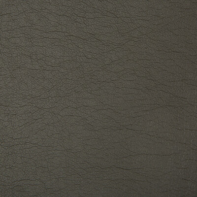 KRAVET CONTRACT OPTIMA.21.0 OPTIMA BRONCO Fabric - Eade's Wallpaper