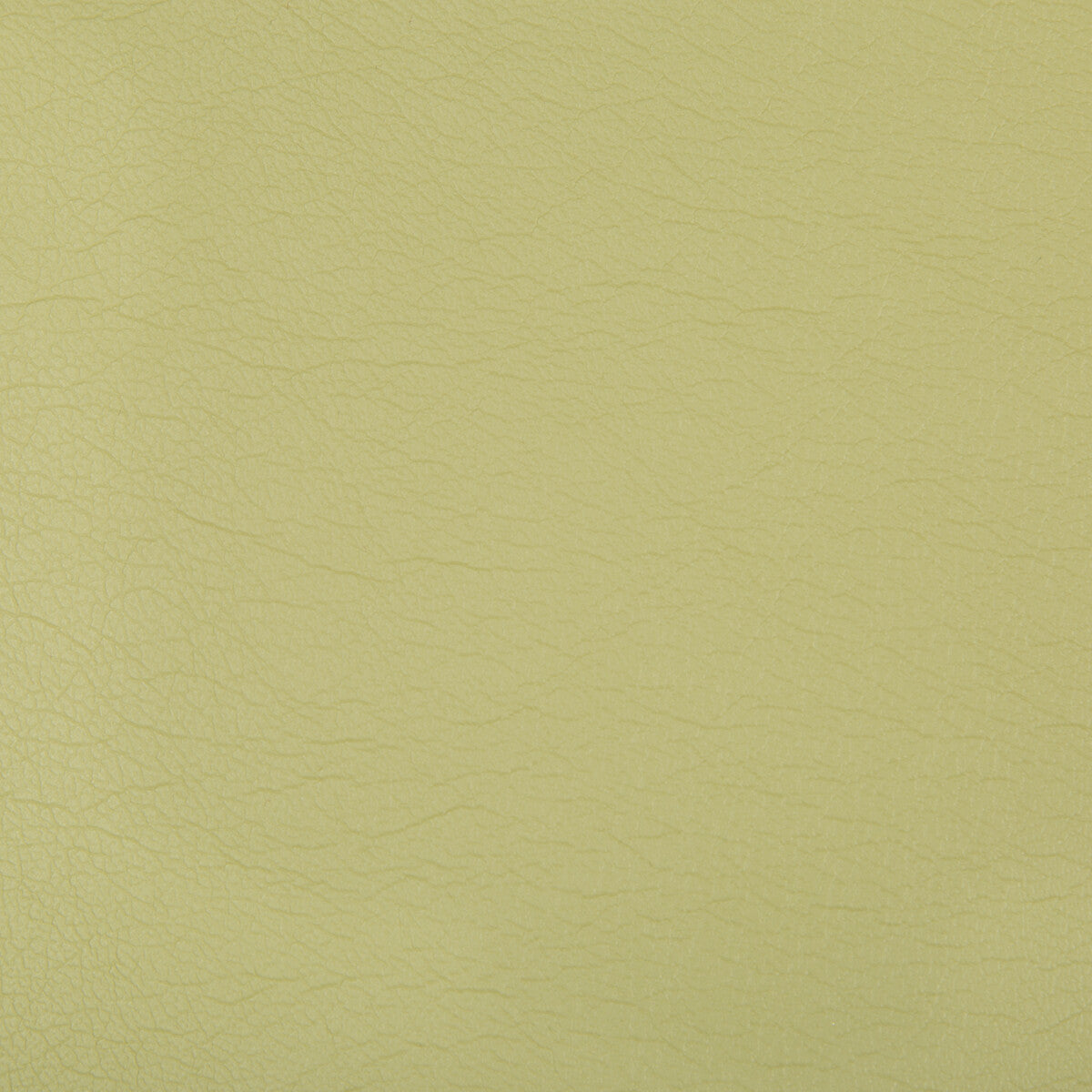 KRAVET CONTRACT OPTIMA.23.0 OPTIMA WASABI Fabric - Eade's Wallpaper