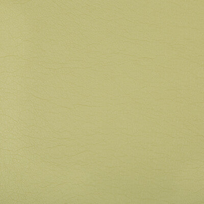 KRAVET CONTRACT OPTIMA.23.0 OPTIMA WASABI Fabric - Eade's Wallpaper