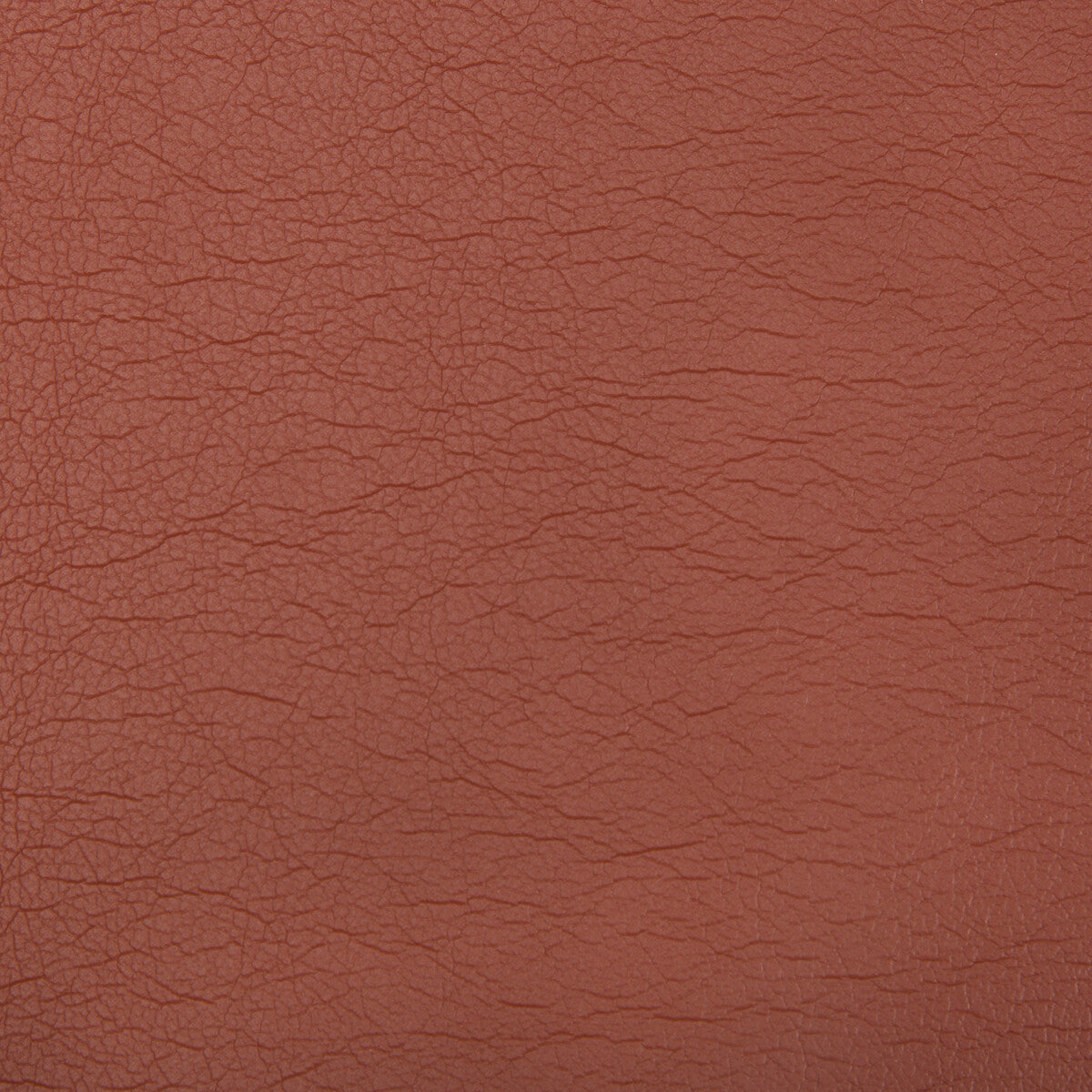 KRAVET CONTRACT OPTIMA.24.0 OPTIMA TERRA COTTA Fabric - Eade's Wallpaper