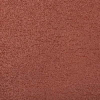 KRAVET CONTRACT OPTIMA.24.0 OPTIMA TERRA COTTA Fabric - Eade's Wallpaper