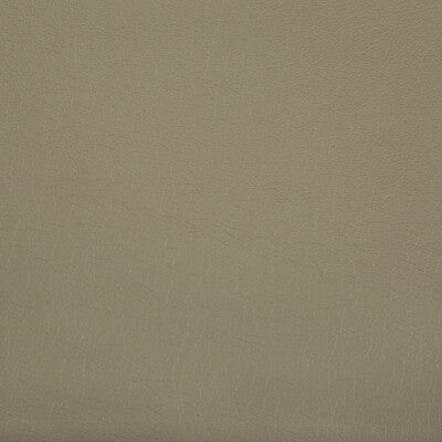 KRAVET CONTRACT OPTIMA.616.0 OPTIMA STUCCO Fabric - Eade's Wallpaper