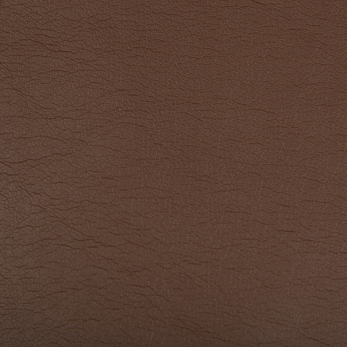 KRAVET CONTRACT OPTIMA.909.0 OPTIMA KONA Fabric - Eade's Wallpaper