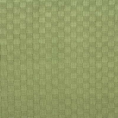 G P & J BAKER ORKNEY.BIRCH.0 ORKNEY BIRCH Fabric - Eade's Wallpaper