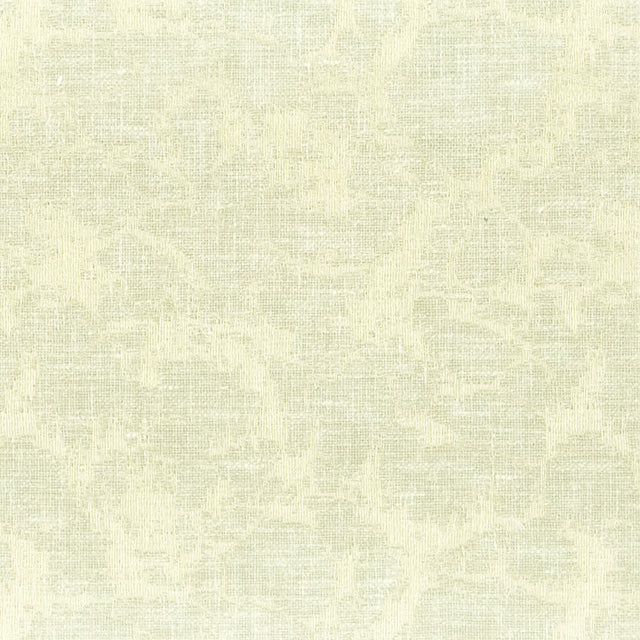 STOUT ORLE-1 ORLEANS 1 PARCHMENT Fabric - Eades Wallpaper & Fabric