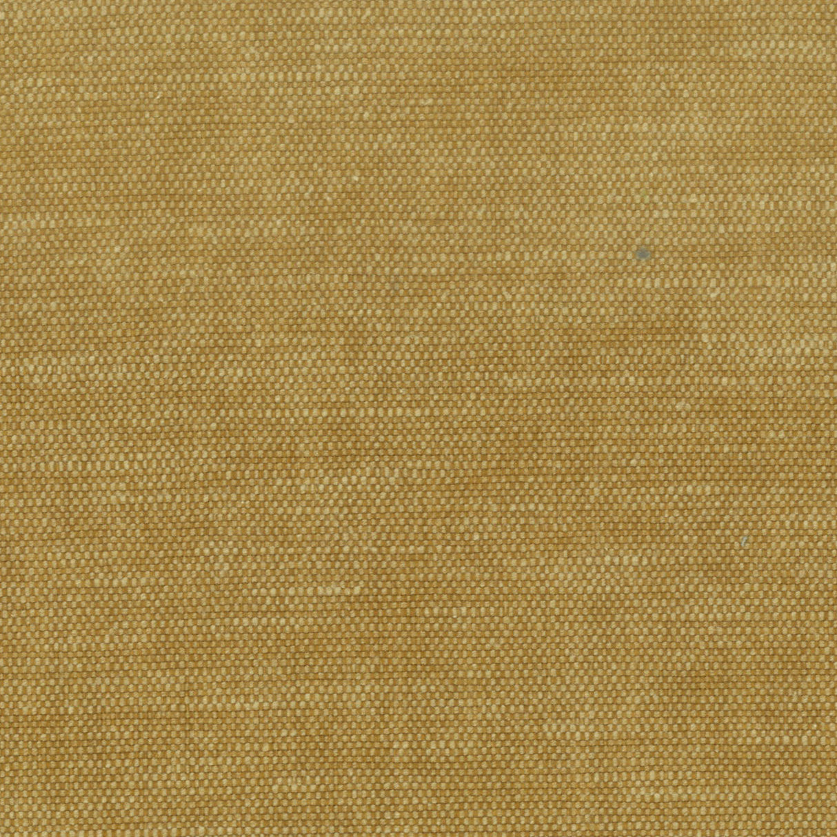STOUT ORWI-2 ORWIN 2 AMBER Fabric - Eades Wallpaper & Fabric