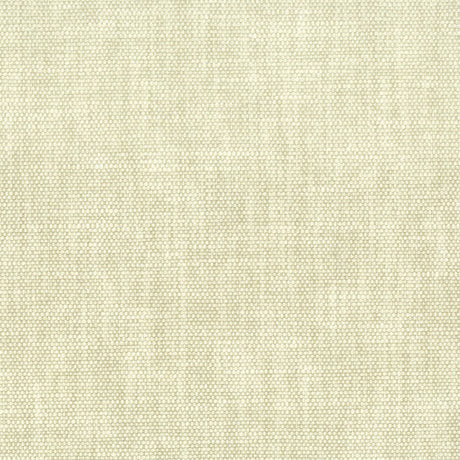 STOUT ORWI-23 ORWIN 23 CHAMPAGNE Fabric - Eades Wallpaper & Fabric