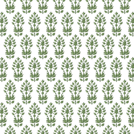 Eade's OSHK-2-sample BOXWOOD