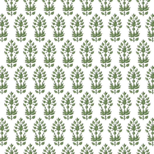 Eade's OSHK-2-sample BOXWOOD