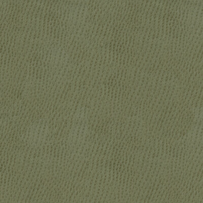 KRAVET SMART OSSY.11.0 KRAVET SMART OSSY-11 Fabric - Eade's Wallpaper