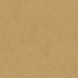 KRAVET SMART OSSY.1616.0 KRAVET SMART OSSY-1616 Fabric - Eade's Wallpaper