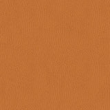 KRAVET SMART OSSY.212.0 KRAVET SMART OSSY-212 Fabric - Eade's Wallpaper