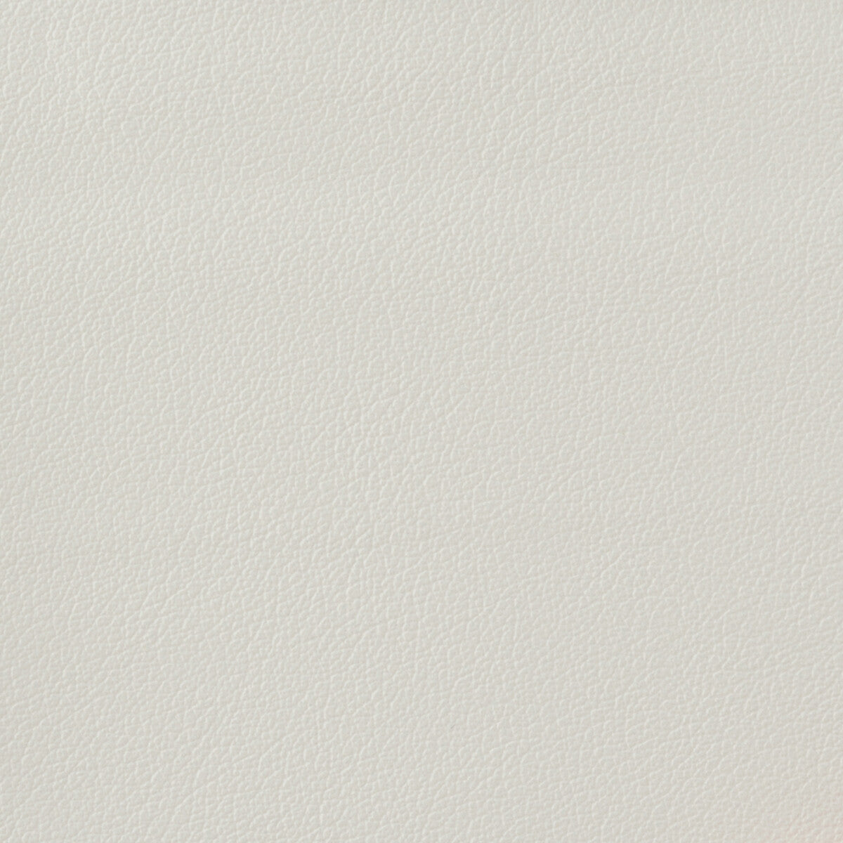 KRAVET BASICS OTTO.101.0 KRAVET BASICS OTTO-101 Fabric - Eade's Wallpaper