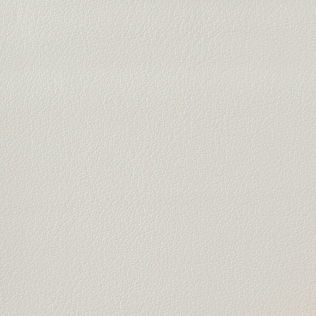 KRAVET BASICS OTTO.101.0 KRAVET BASICS OTTO-101 Fabric - Eade's Wallpaper