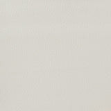 KRAVET BASICS OTTO.101.0 KRAVET BASICS OTTO-101 Fabric - Eade's Wallpaper