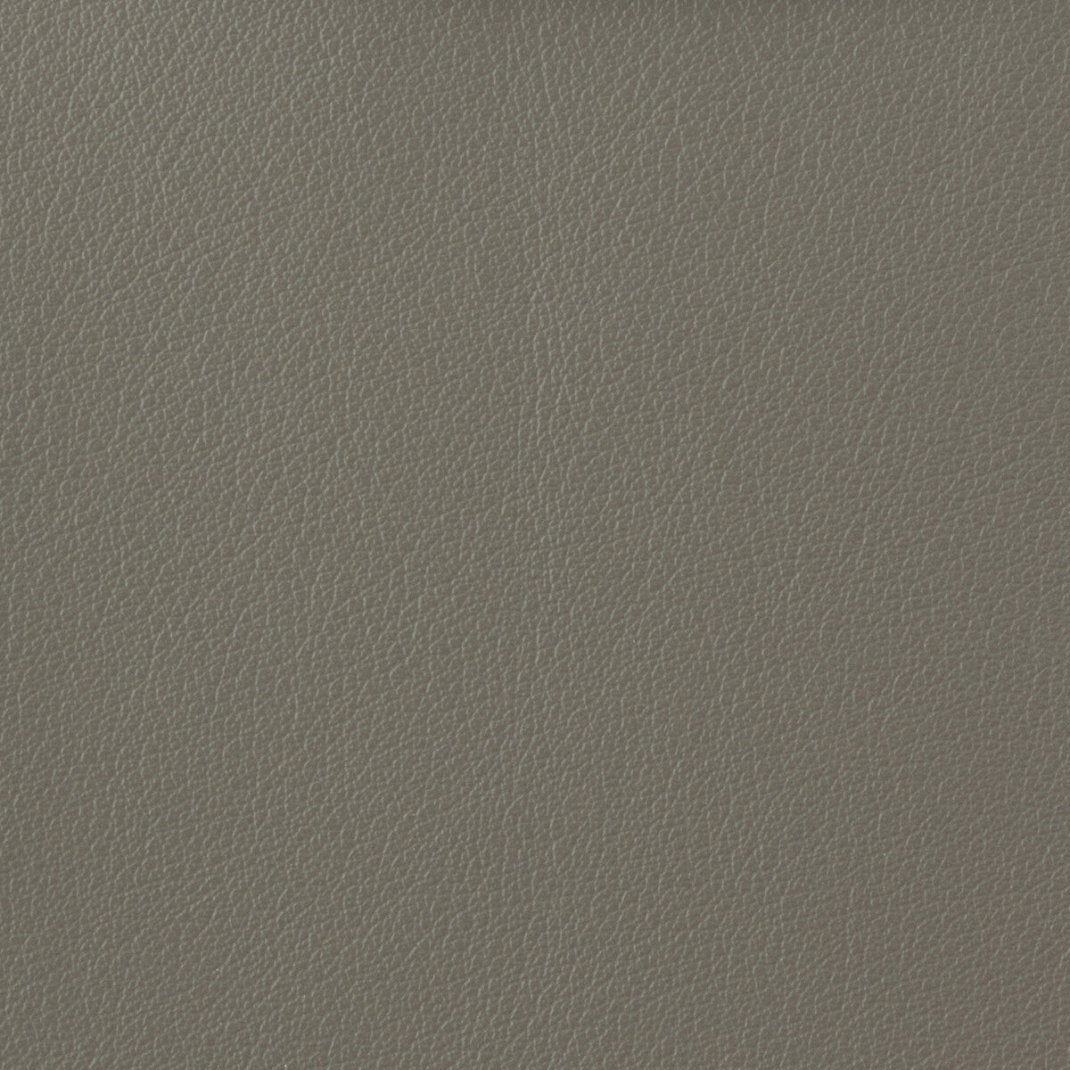 KRAVET BASICS OTTO.11.0 KRAVET BASICS OTTO-11 Fabric - Eade's Wallpaper