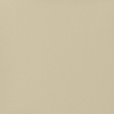 KRAVET BASICS OTTO.1116.0 KRAVET BASICS OTTO-1116 Fabric - Eade's Wallpaper