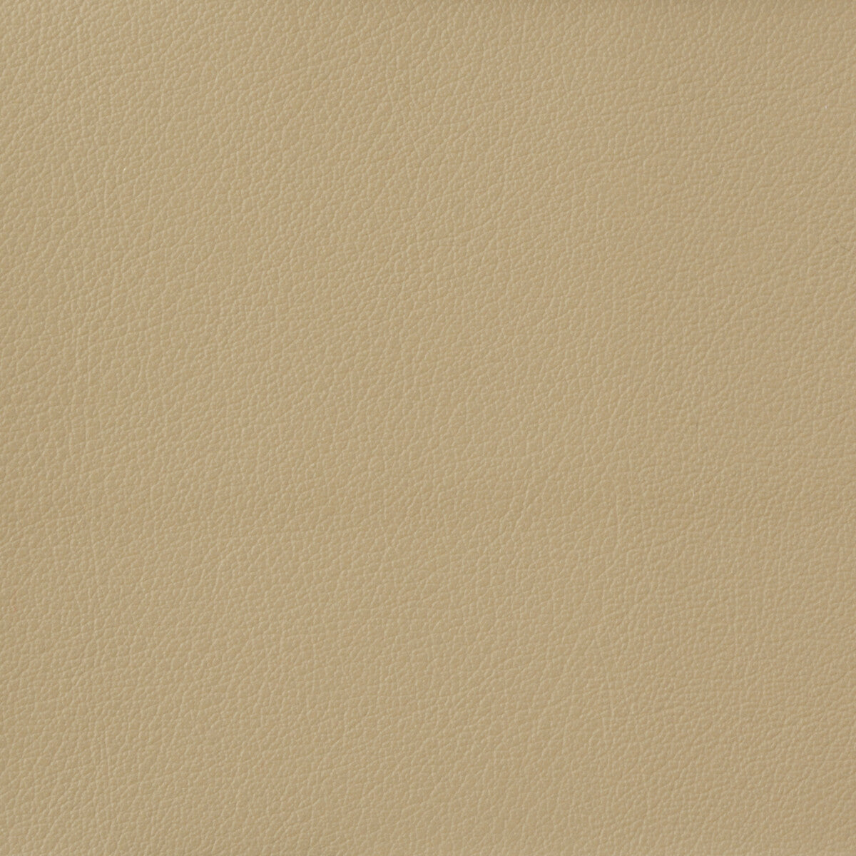 KRAVET BASICS OTTO.116.0 KRAVET BASICS OTTO-116 Fabric - Eade's Wallpaper