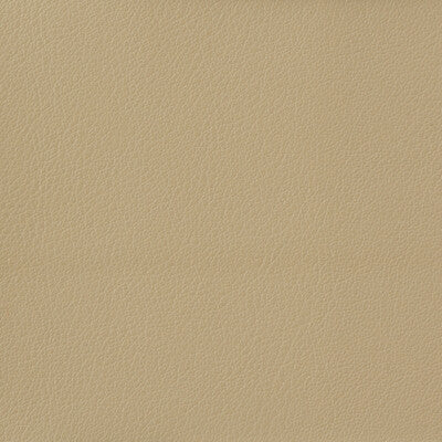KRAVET BASICS OTTO.116.0 KRAVET BASICS OTTO-116 Fabric - Eade's Wallpaper