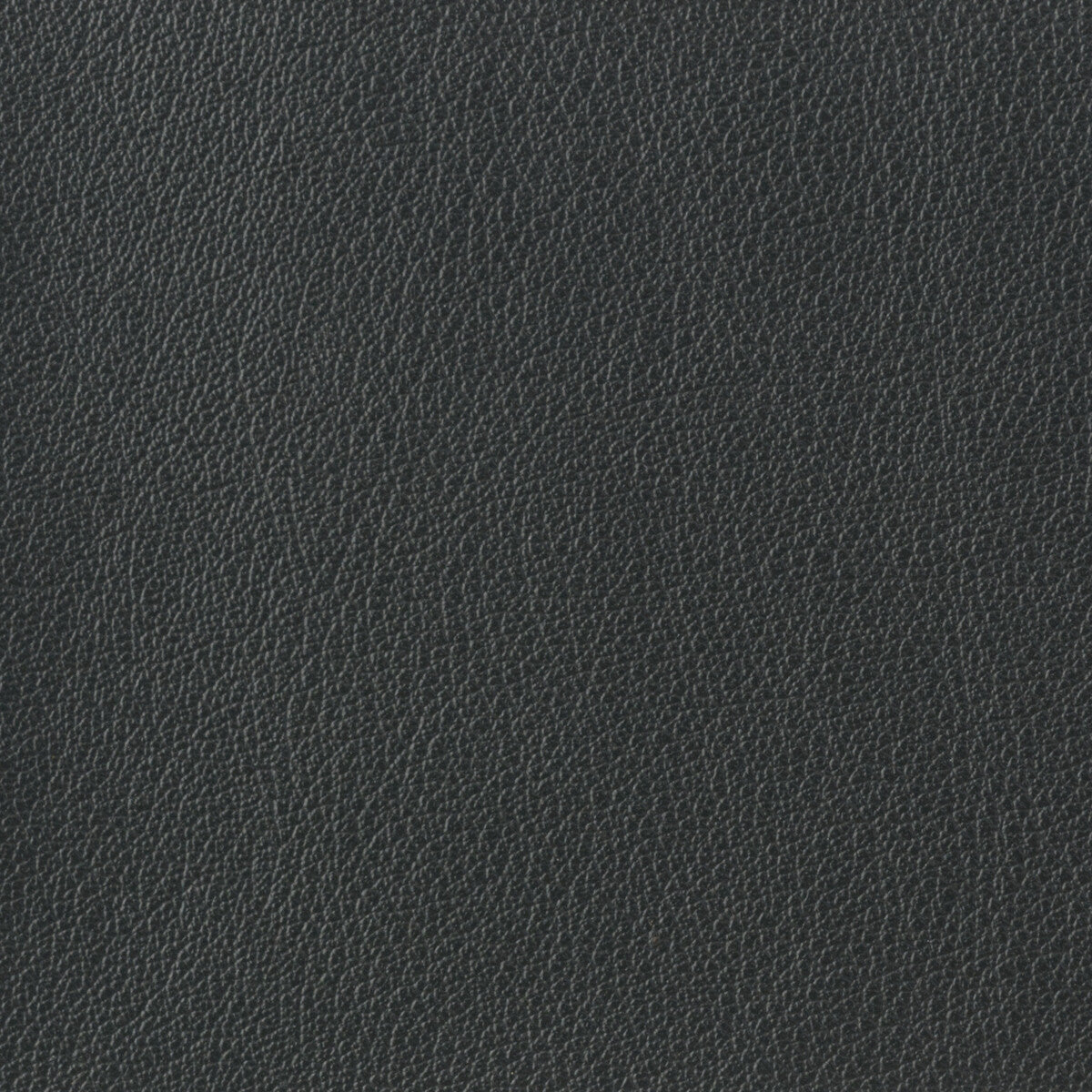 KRAVET BASICS OTTO.21.0 KRAVET BASICS OTTO-21 Fabric - Eade's Wallpaper