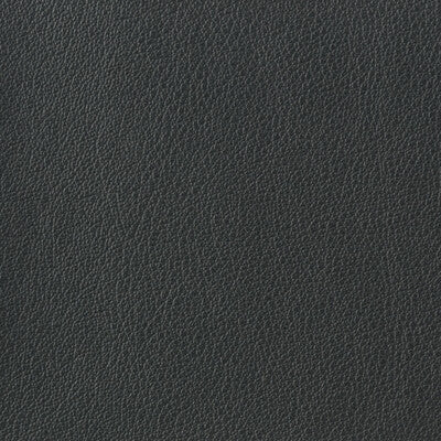 KRAVET BASICS OTTO.21.0 KRAVET BASICS OTTO-21 Fabric - Eade's Wallpaper