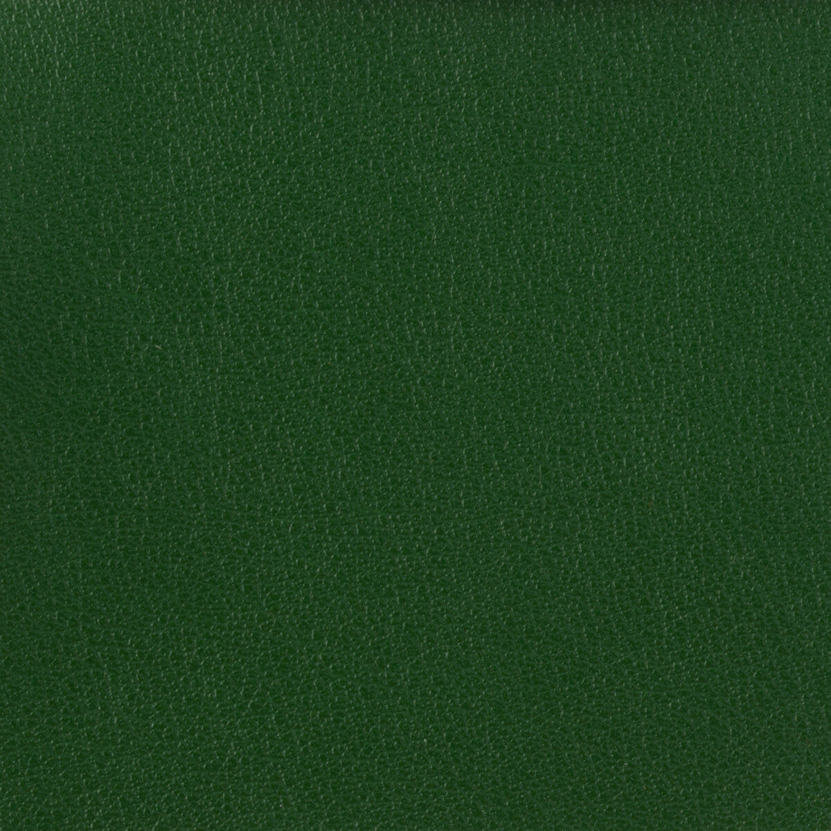 KRAVET BASICS OTTO.3.0 KRAVET BASICS OTTO-3 Fabric - Eade's Wallpaper