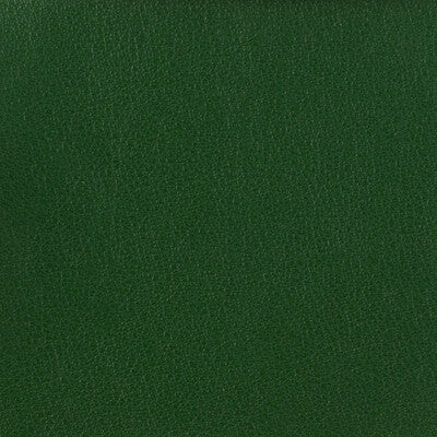KRAVET BASICS OTTO.3.0 KRAVET BASICS OTTO-3 Fabric - Eade's Wallpaper