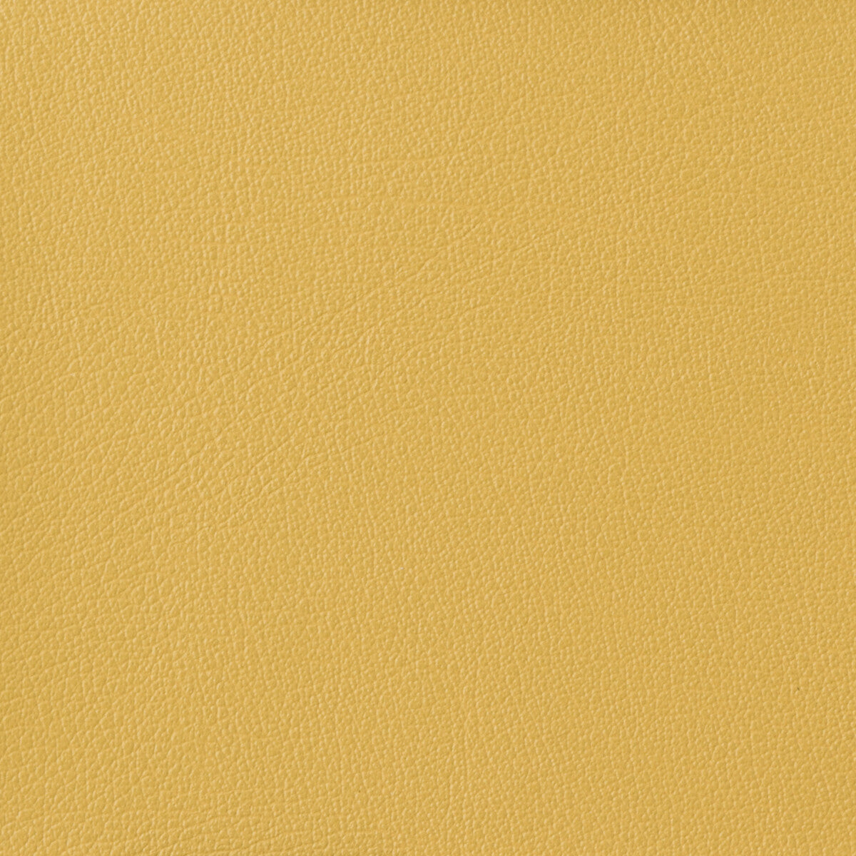 KRAVET BASICS OTTO.40.0 KRAVET BASICS OTTO-40 Fabric - Eade's Wallpaper