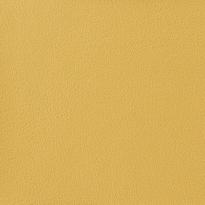 KRAVET BASICS OTTO.40.0 KRAVET BASICS OTTO-40 Fabric - Eade's Wallpaper