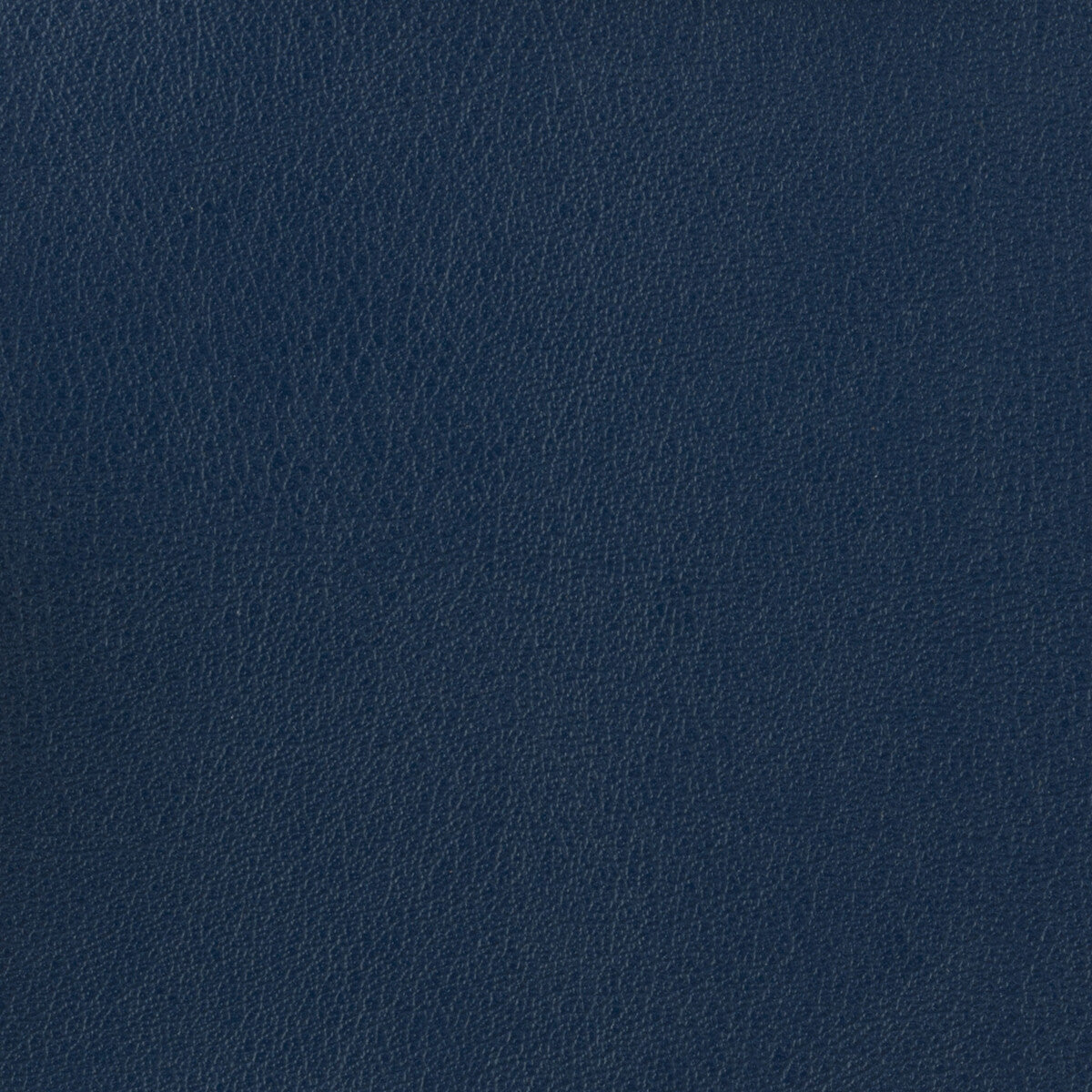 KRAVET BASICS OTTO.50.0 KRAVET BASICS OTTO-50 Fabric - Eade's Wallpaper